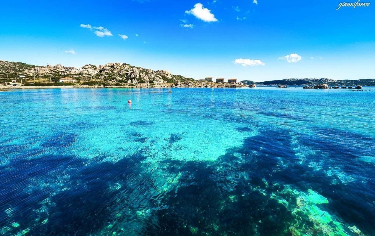 Appartamento Luminosissimo Con Posto Auto. La Maddalena  Exterior foto
